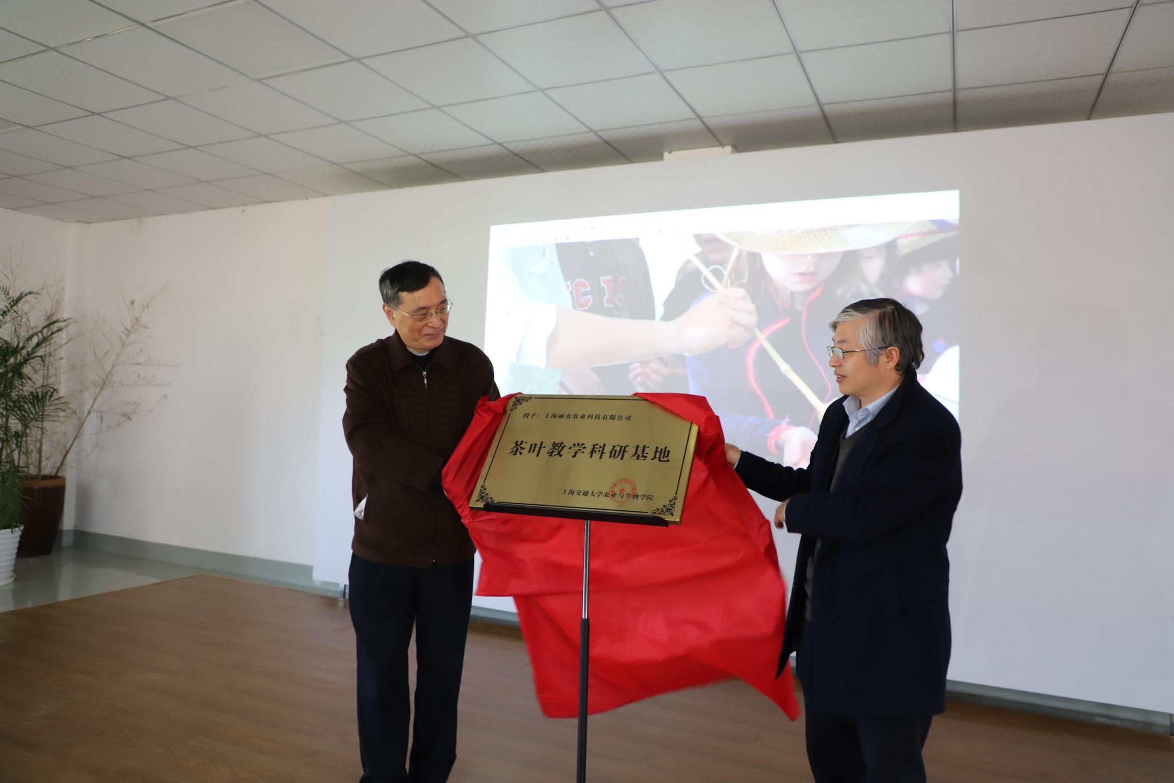西湖龙井和安吉白茶哪个好喝_安吉白茶和西湖龙井_安吉白茶龙井和西湖龙井的区别