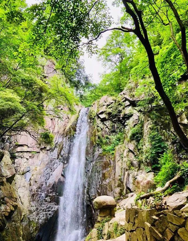 安吉百草园游乐项目名称_安吉百草园游乐园项目_游安吉百草园