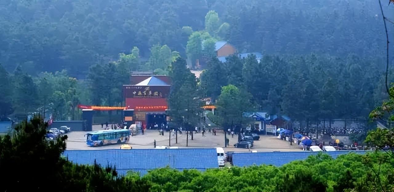 安吉百草园游乐项目名称_安吉百草园游乐园项目_游安吉百草园