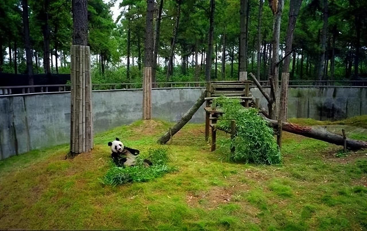 安吉百草园游乐园项目_安吉百草园游乐项目名称_游安吉百草园