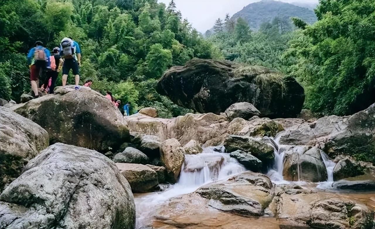 游安吉百草园_安吉百草园游乐园项目_安吉百草园游乐项目名称