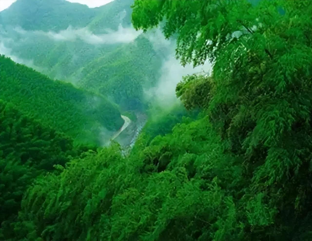 安吉百草园游乐园项目_游安吉百草园_安吉百草园游乐项目名称