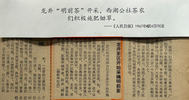 安吉白茶龙井_西湖龙井安吉白茶_安吉白茶和西湖龙井