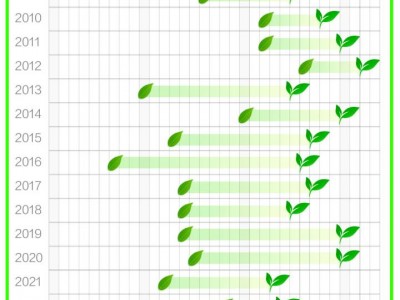 20年西湖龙井“大数据”：群体种就是老茶树