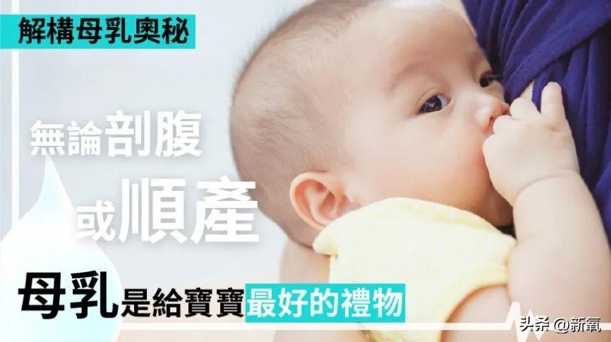 安吉朱丽娜_安吉朱丽娜电影最新_安吉朱丽娜壁纸