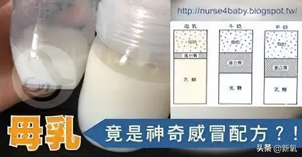 安吉朱丽娜壁纸_安吉朱丽娜_安吉朱丽娜电影最新