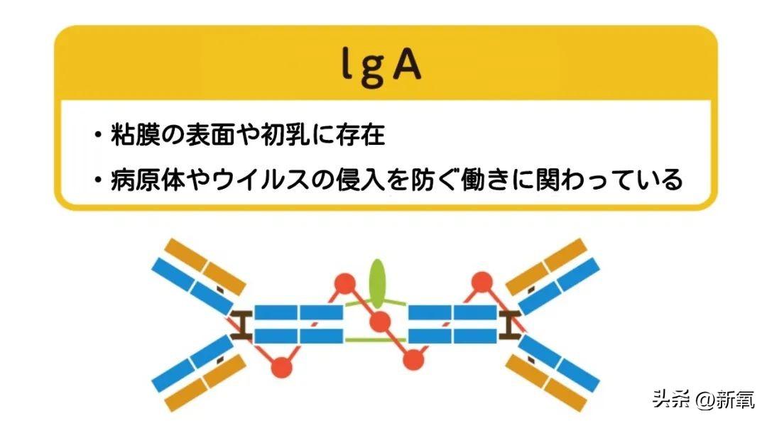 安吉朱丽娜壁纸_安吉朱丽娜_安吉朱丽娜电影最新