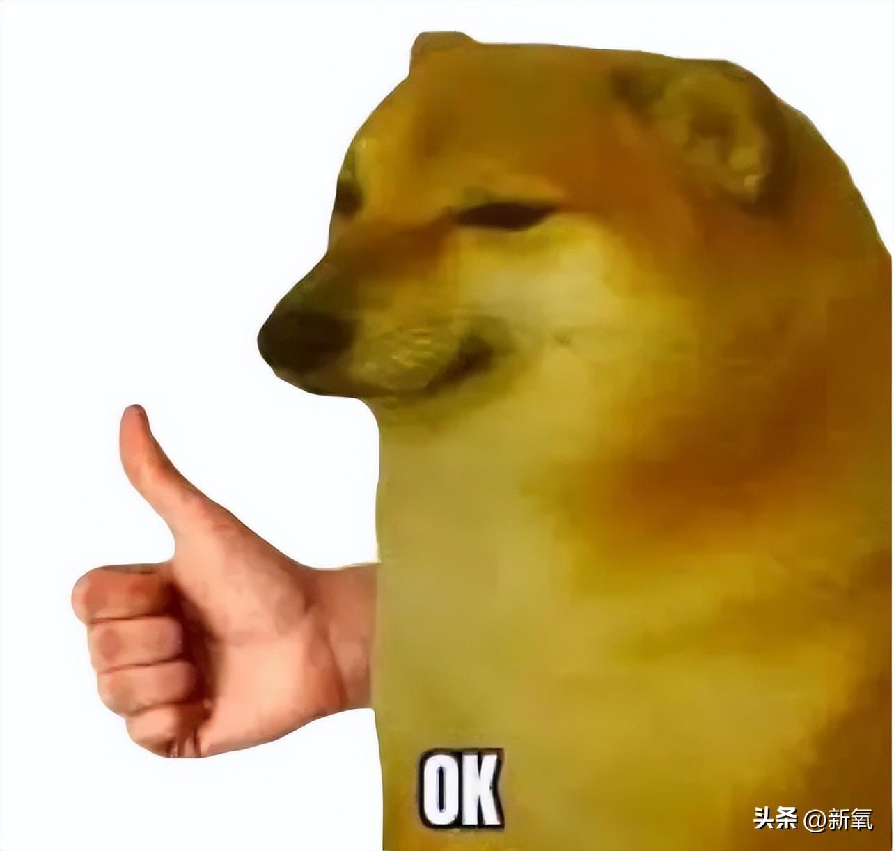 安吉朱丽娜壁纸_安吉朱丽娜电影最新_安吉朱丽娜