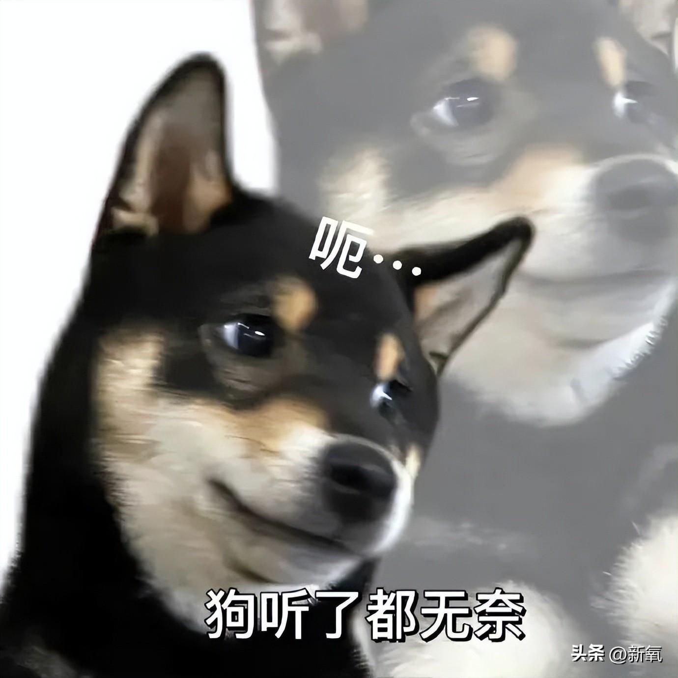 安吉朱丽娜壁纸_安吉朱丽娜_安吉朱丽娜电影最新