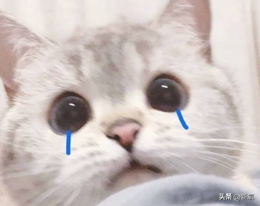 安吉朱丽娜_安吉朱丽娜电影最新_安吉朱丽娜壁纸