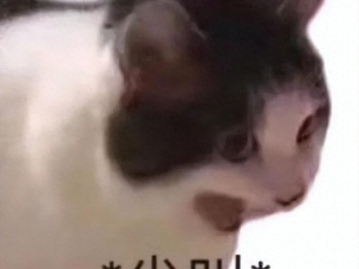 安吉朱丽娜 什么？！他俩当初居然是因为家暴离婚的……