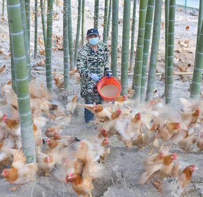 安吉经济开发区_安吉县经济开发区管委会官网_安吉开发区经济开发区