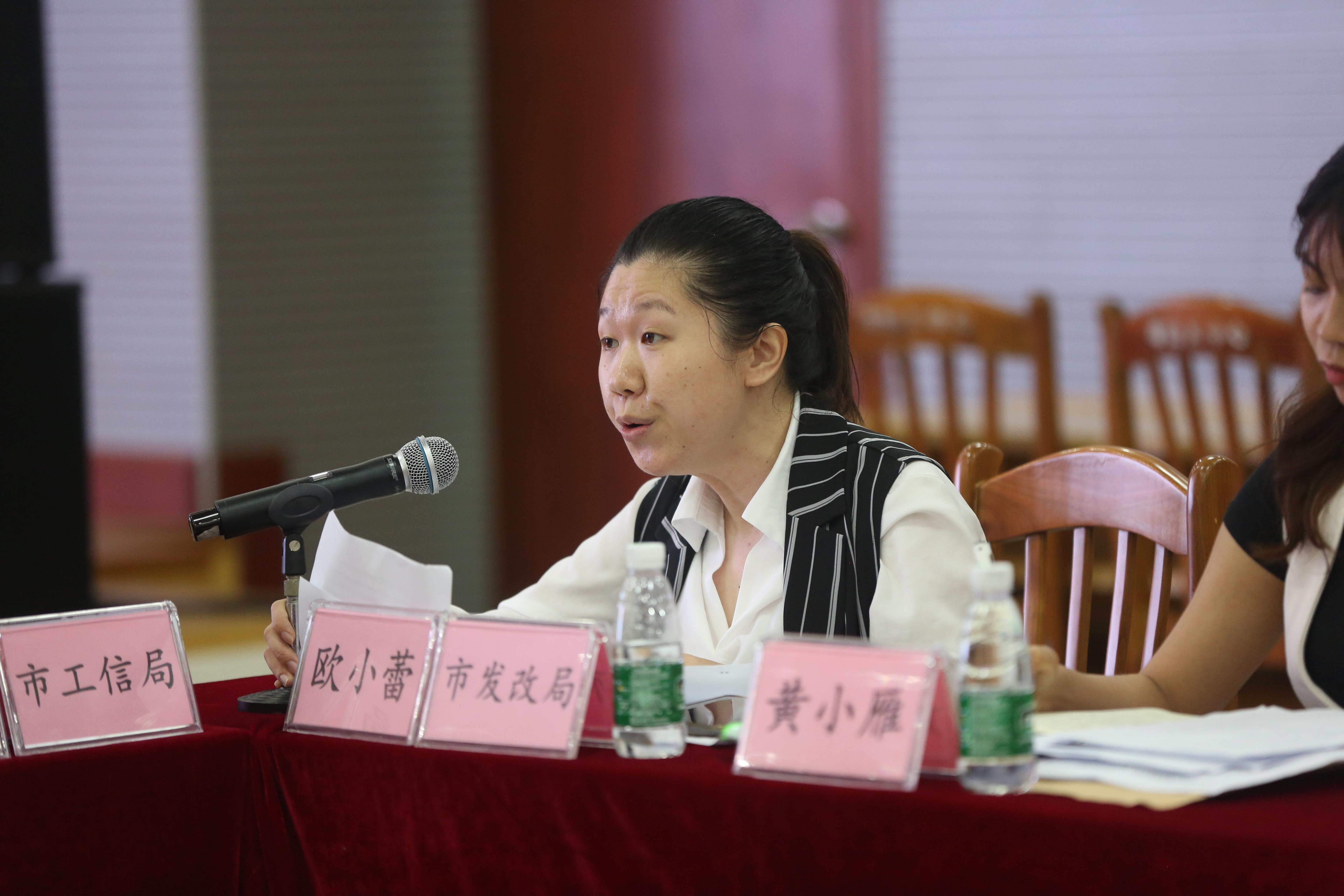 湛江市鼎盛房地产_湛江鼎盛楼盘_湛江鼎盛房地产市值多少亿