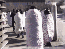 安吉滑雪温泉套票_安吉滑雪泡温泉_温泉滑雪安吉套票多少钱