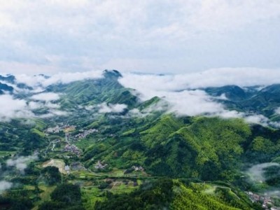 安吉：“双新”CP正蓄势绽放