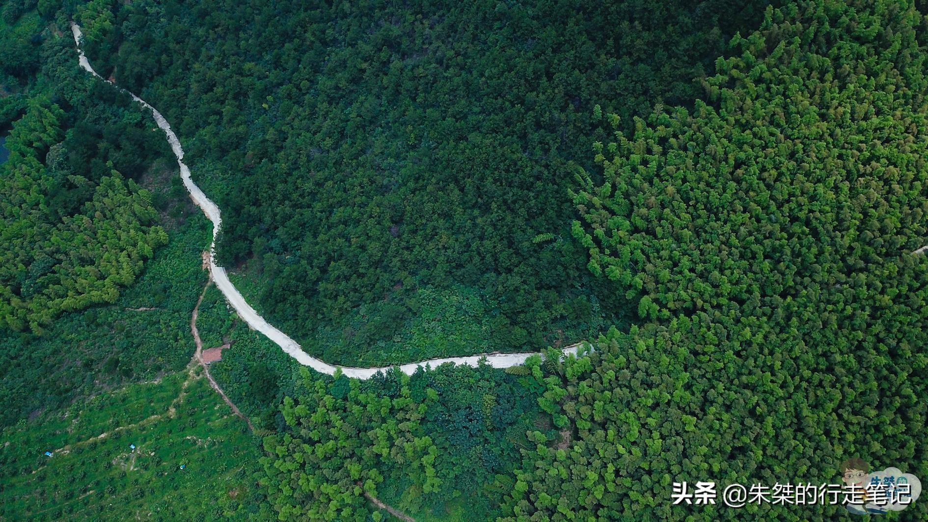 溧阳白茶和安吉白茶_白茶安吉溧阳有卖吗_江苏安吉白茶