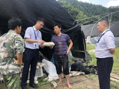 浙江农信系统抗击“利马奇”抗击灾后重建