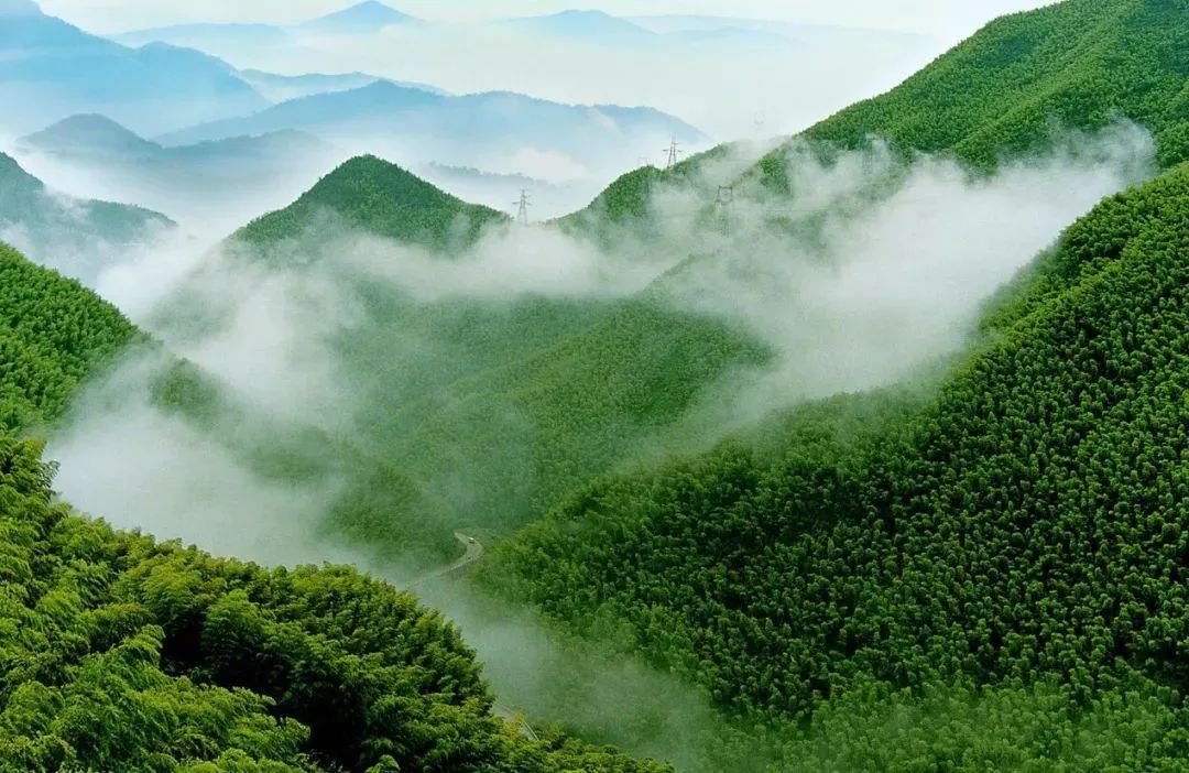 安吉桃花源新竹园_安吉桃花源方竹园平面图_安吉桃花源新竹园价格
