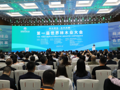 安吉竹纤维 第一届世界林木业大会林木绿业合作共襄