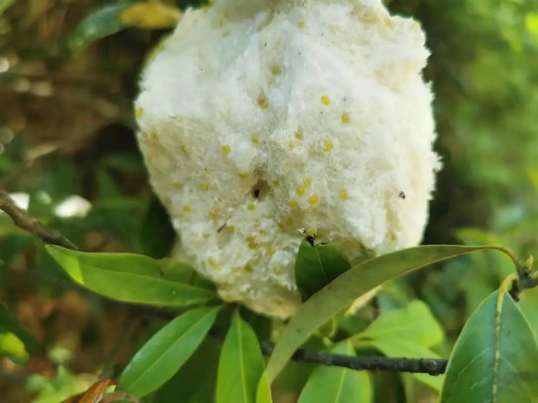 安吉好玩的漂流_安吉漂流哪个最好玩_安吉玩漂流哪里最好