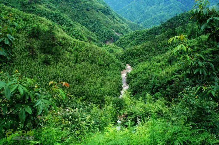 安吉好玩的漂流_安吉漂流哪个最好玩_安吉玩漂流哪里最好