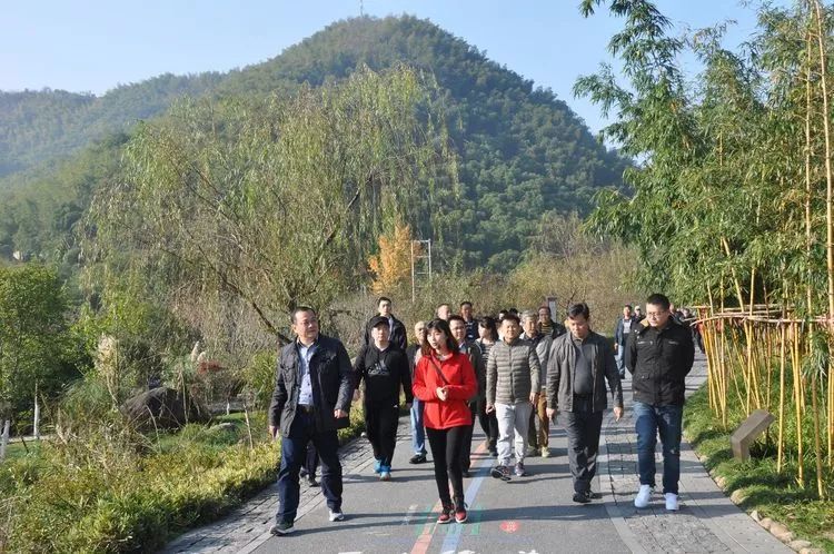 安吉马家弄村_安吉县马吉村_安吉马家村村庄规划