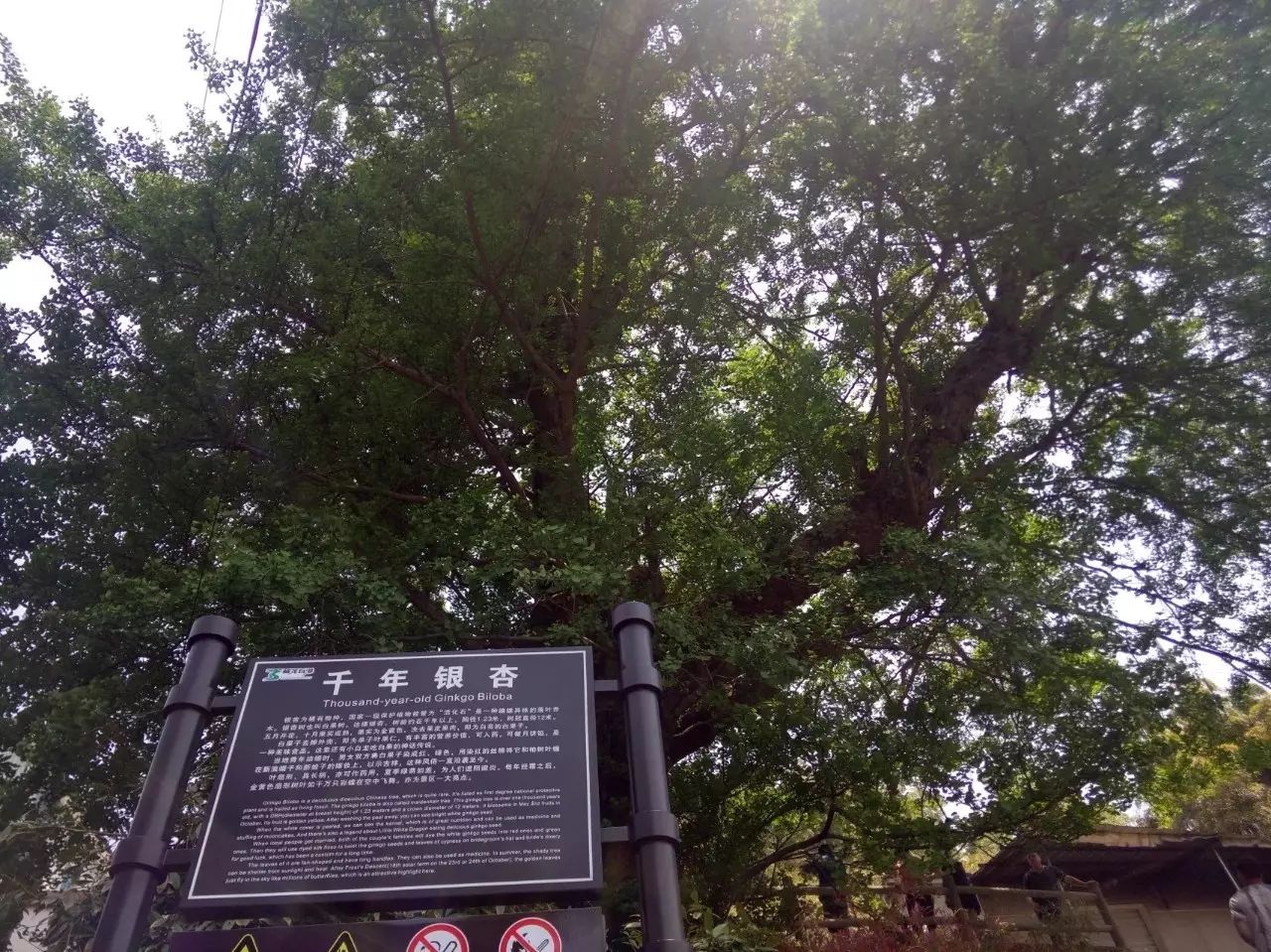 浙江湖州安吉旅游_浙江湖州安吉旅游景区_浙江安吉旅游