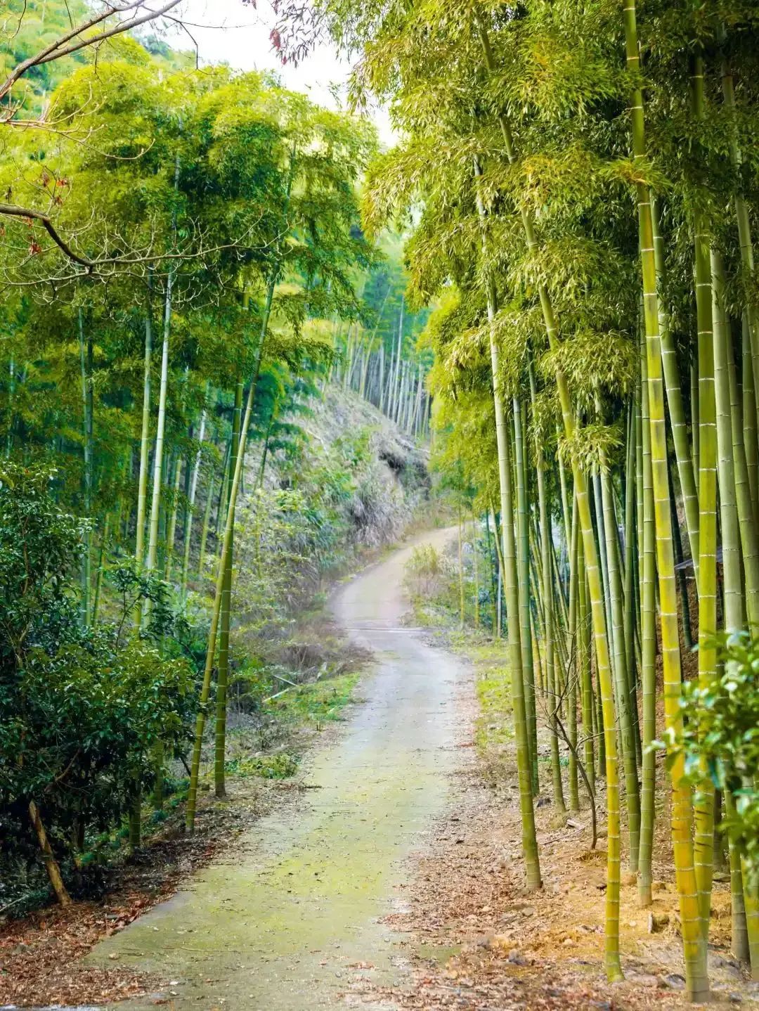 安吉漂流跟团_安吉漂流旅游团_安吉旅游漂流怎么玩