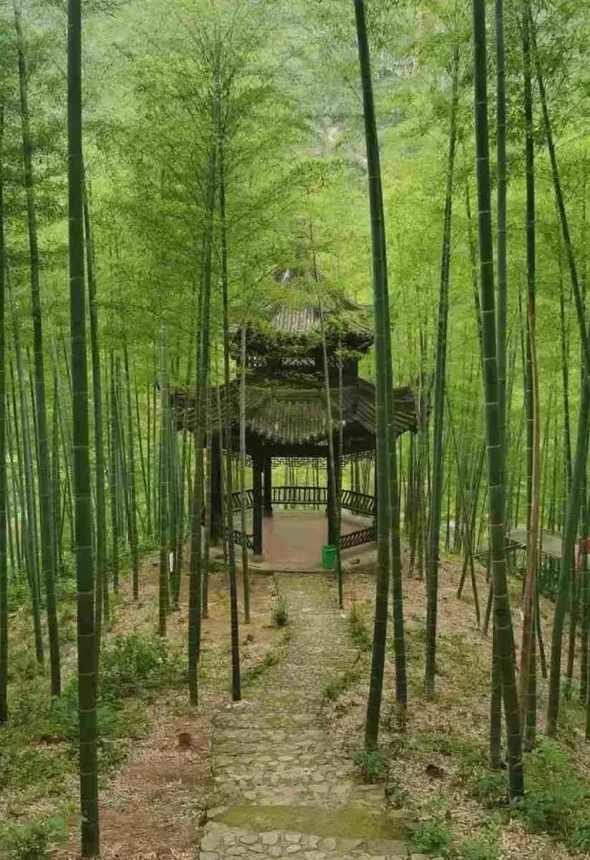 安吉漂流旅游团_安吉旅游漂流怎么玩_安吉漂流跟团