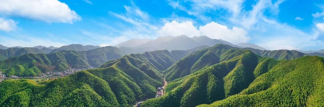 安吉漂流跟团_安吉旅游漂流怎么玩_安吉漂流旅游团