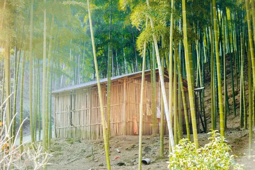 安吉旅游漂流怎么玩_安吉漂流跟团_安吉漂流旅游团