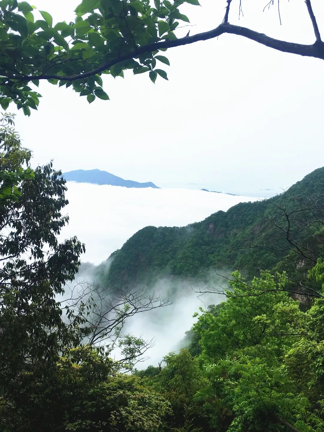 安吉旅游景区_浙江安吉旅游_安吉的旅游景区