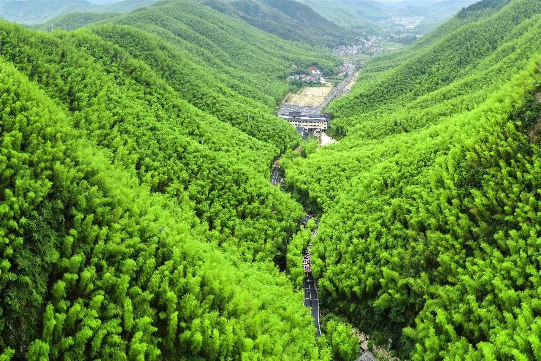 安吉旅游景区_浙江安吉旅游_安吉的旅游景区