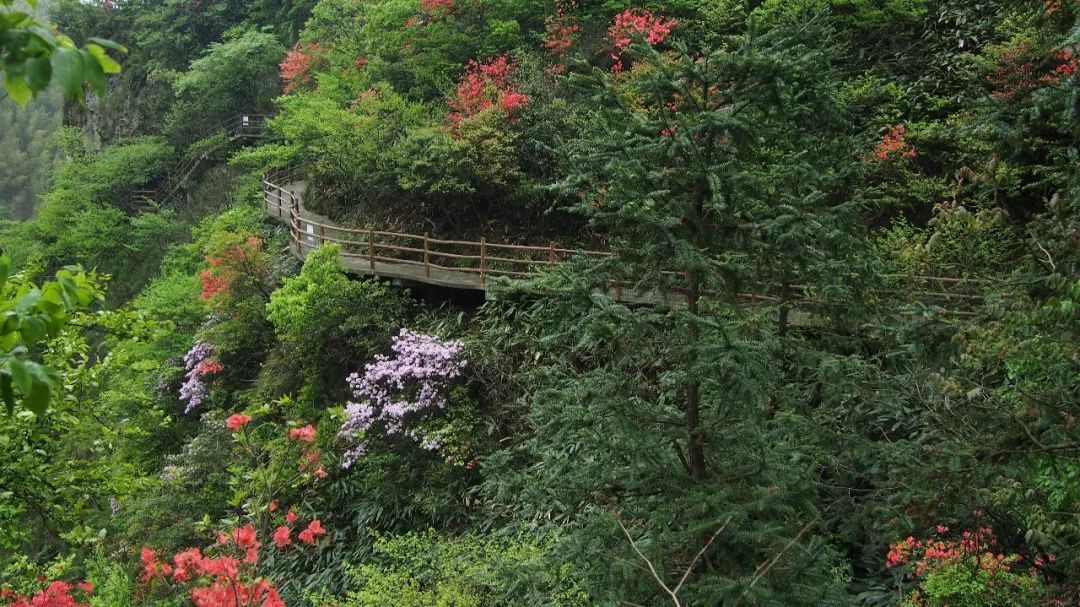 安吉旅游景区_浙江安吉旅游_安吉的旅游景区