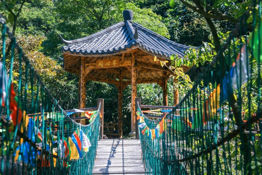 安吉的旅游景区_安吉旅游景区_浙江安吉旅游
