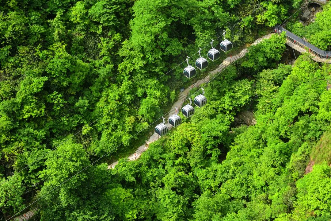浙江安吉旅游_安吉的旅游景区_安吉旅游景区