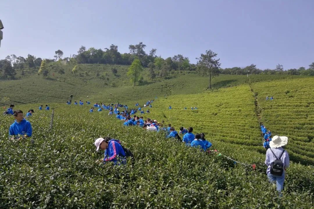 安吉旅游指南_安吉旅游景区_安吉旅游区景点