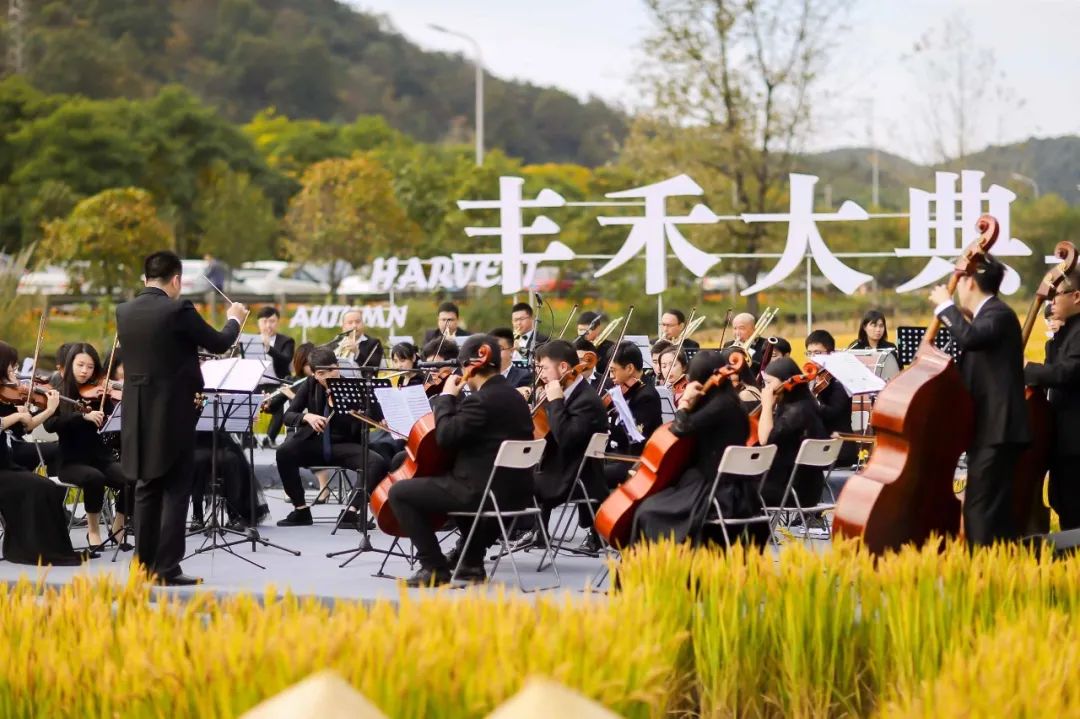 安吉桃花源别墅户型图_安吉桃花源二手房_安吉桃花源二手房出售