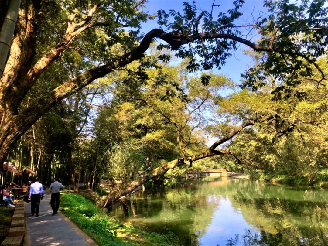 安吉 篾匠_篾匠铺_安吉竹编