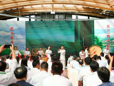 中国浙北山区县“底气”2018年竹产业产值2456亿元
