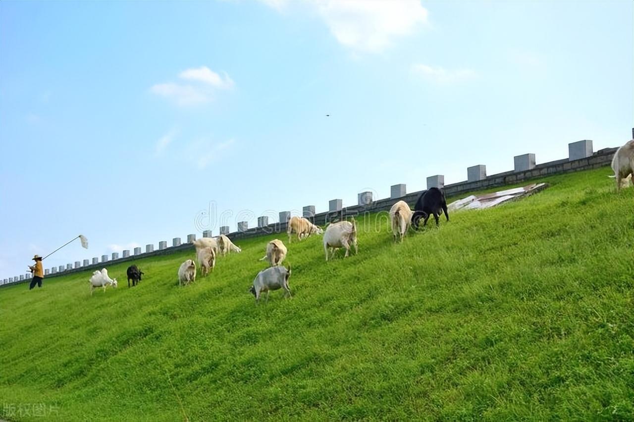 安吉旅游_安吉旅游必去十大景点_安吉旅游景点排名前十