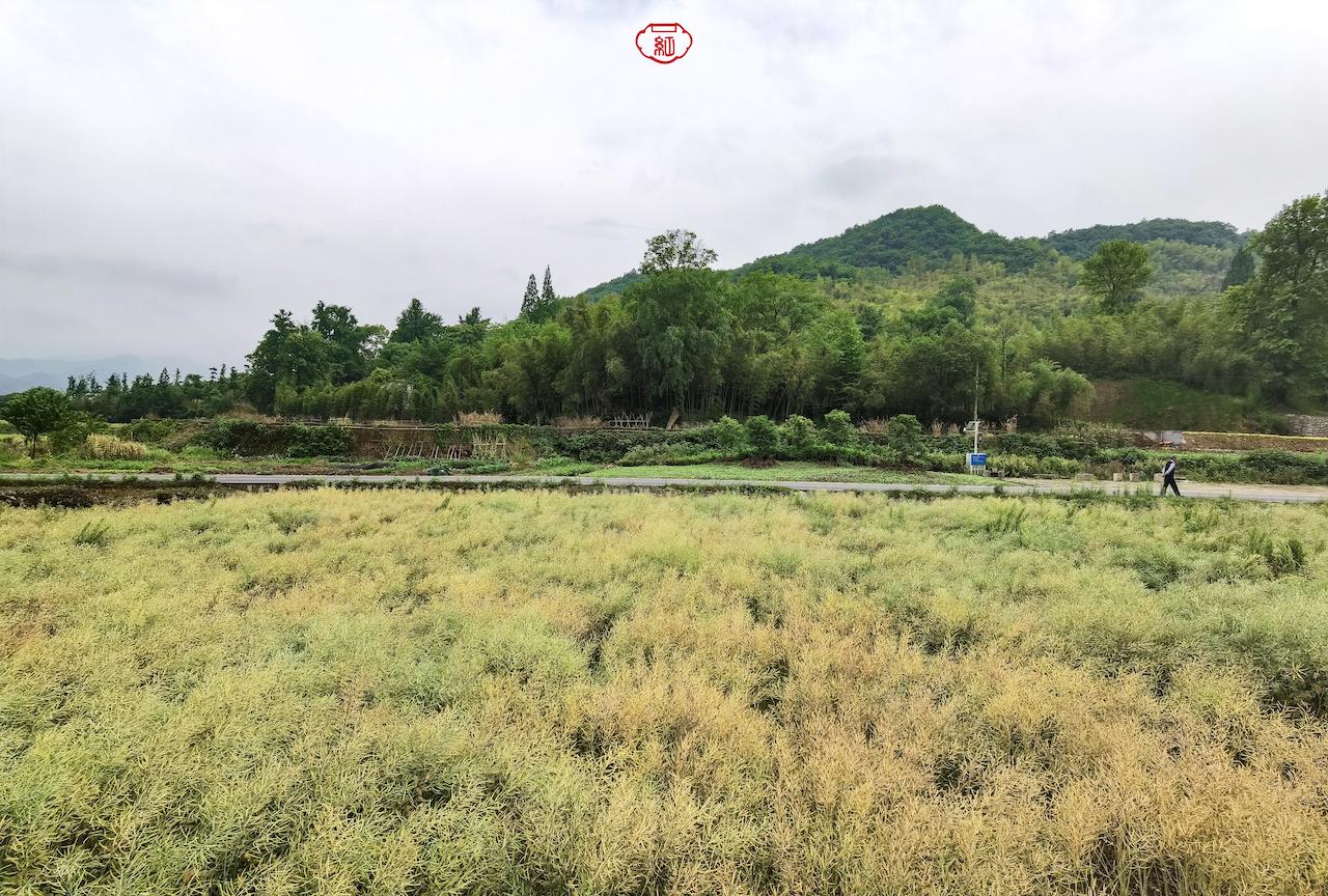 安吉旅游必去的景点_安吉旅游攻略必去景点推荐_安吉旅游