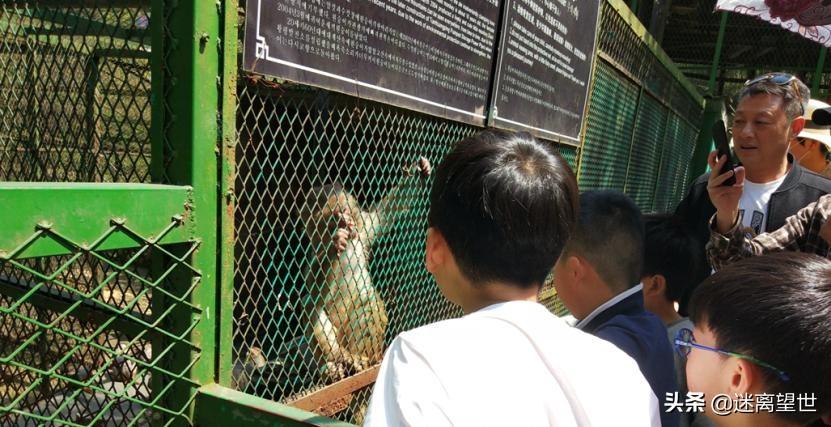 安吉中南百草园旅游攻略_安吉中南百草园附近酒店_安吉中南百草园 酒店