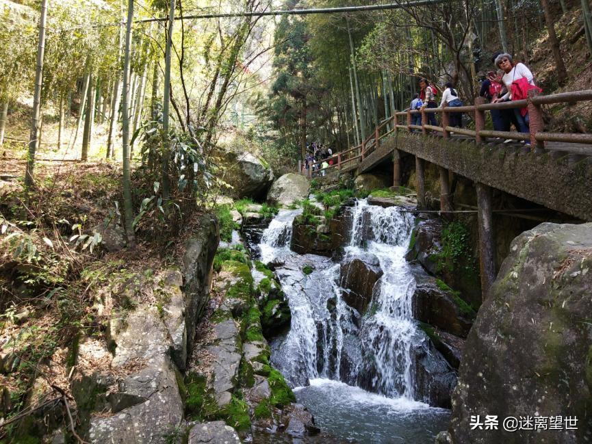 安吉中南百草园 酒店_安吉中南百草园附近酒店_安吉中南百草园旅游攻略