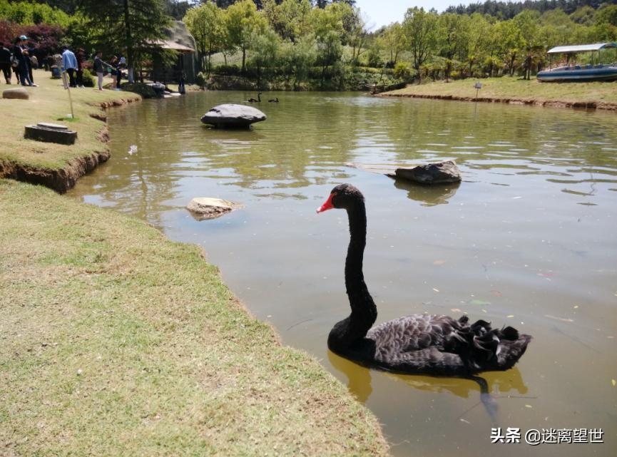 安吉中南百草园 酒店_安吉中南百草园旅游攻略_安吉中南百草园附近酒店