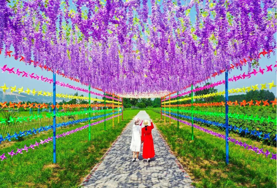 安吉龙王村最好的酒店_安吉上墅乡龙王村_安吉龙王村民宿