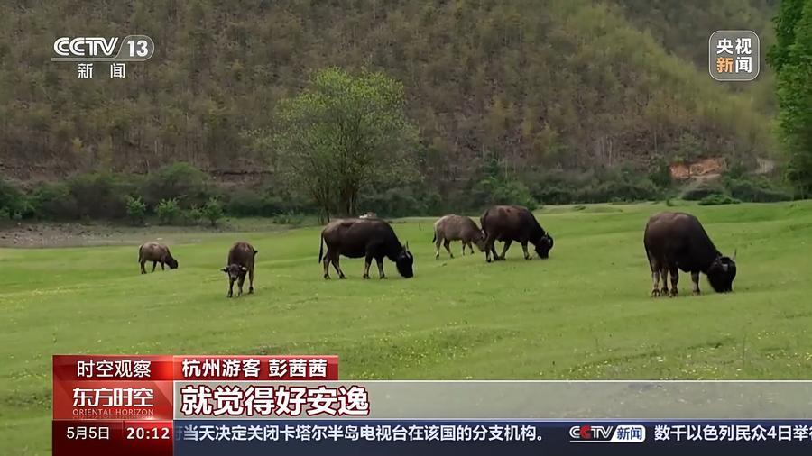 安吉好玩的_好玩安吉地方有哪些_安吉有什么好玩的地方