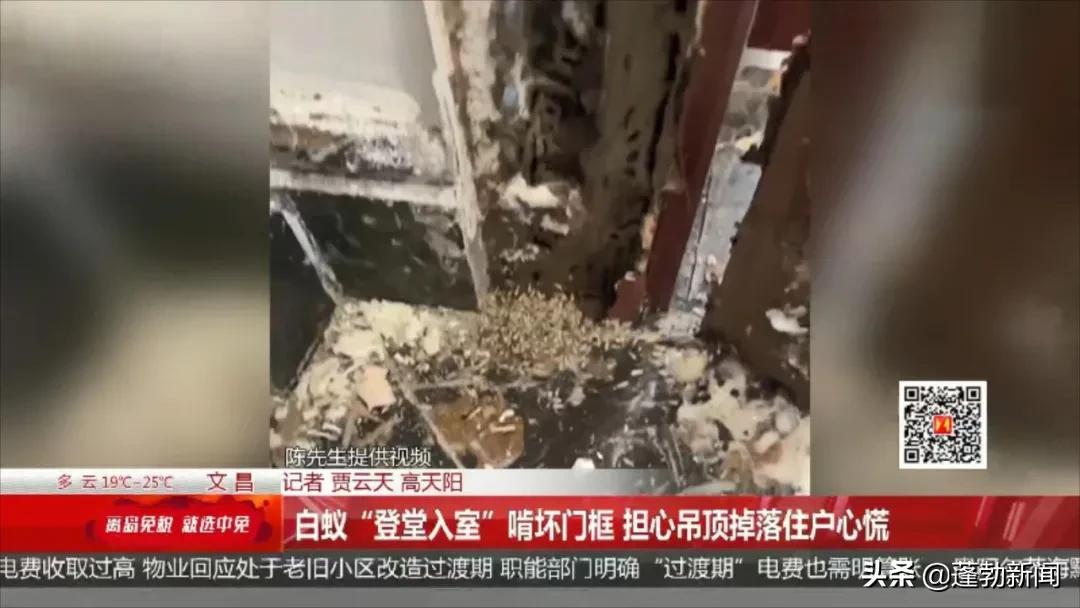 防治局房地产白蚁管理办法最新_房地产白蚁防治收费标准_房地产管理局白蚁防治所