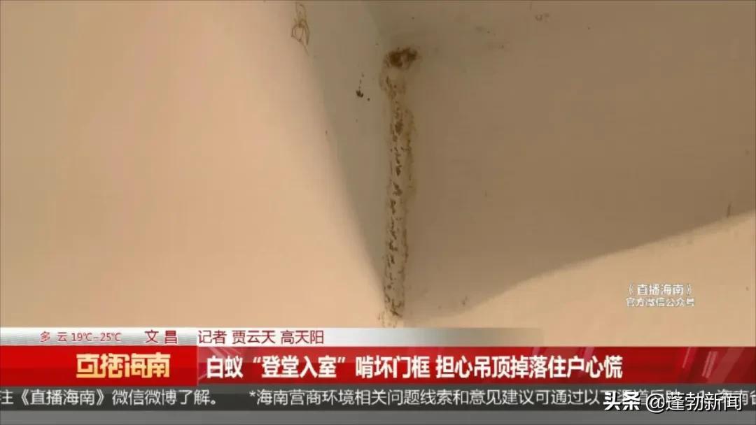 房地产白蚁防治收费标准_房地产管理局白蚁防治所_防治局房地产白蚁管理办法最新