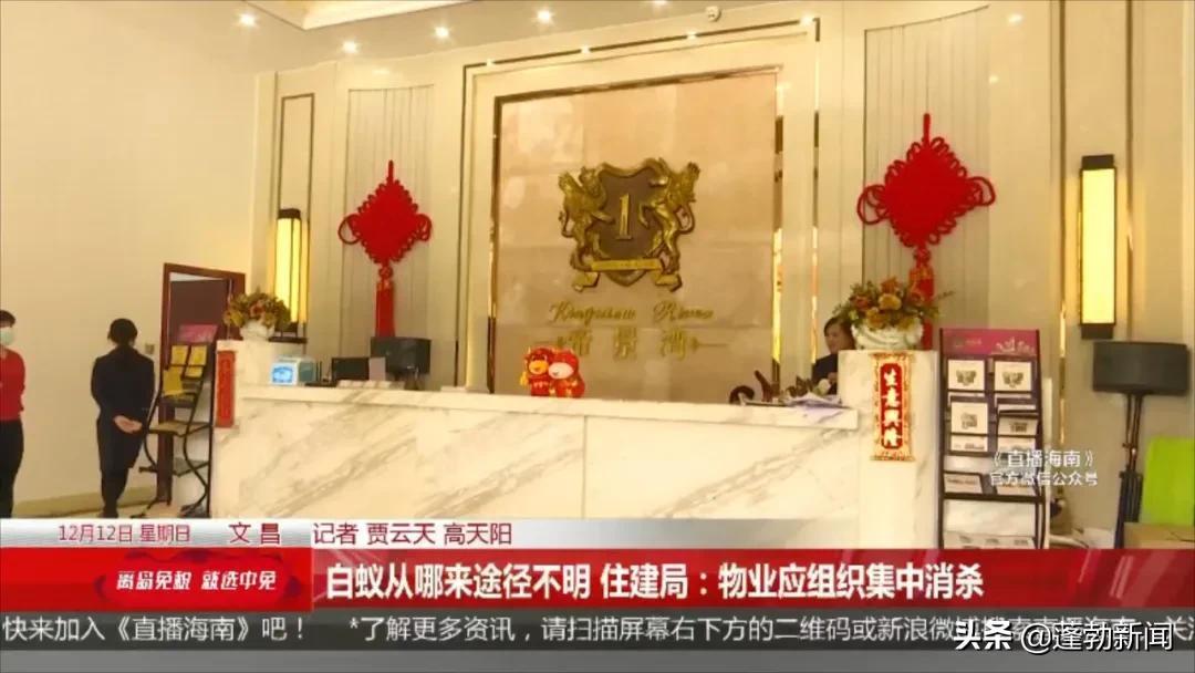 房地产管理局白蚁防治所_房地产白蚁防治收费标准_防治局房地产白蚁管理办法最新
